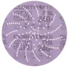 3M Cubitron II sanding disc with perforations.