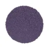 Purple textured circular surface, close-up view.