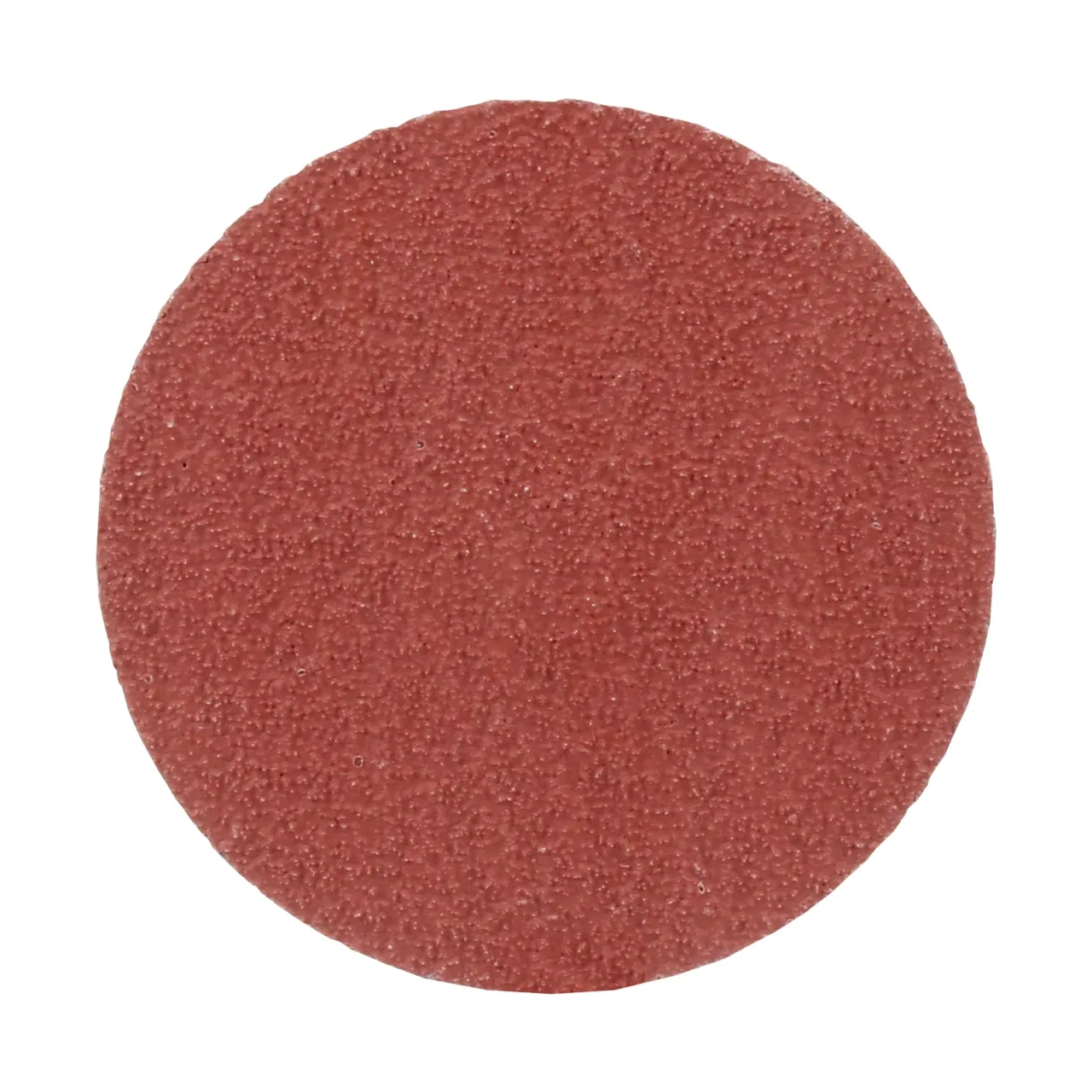 Red abrasive sanding disc close-up