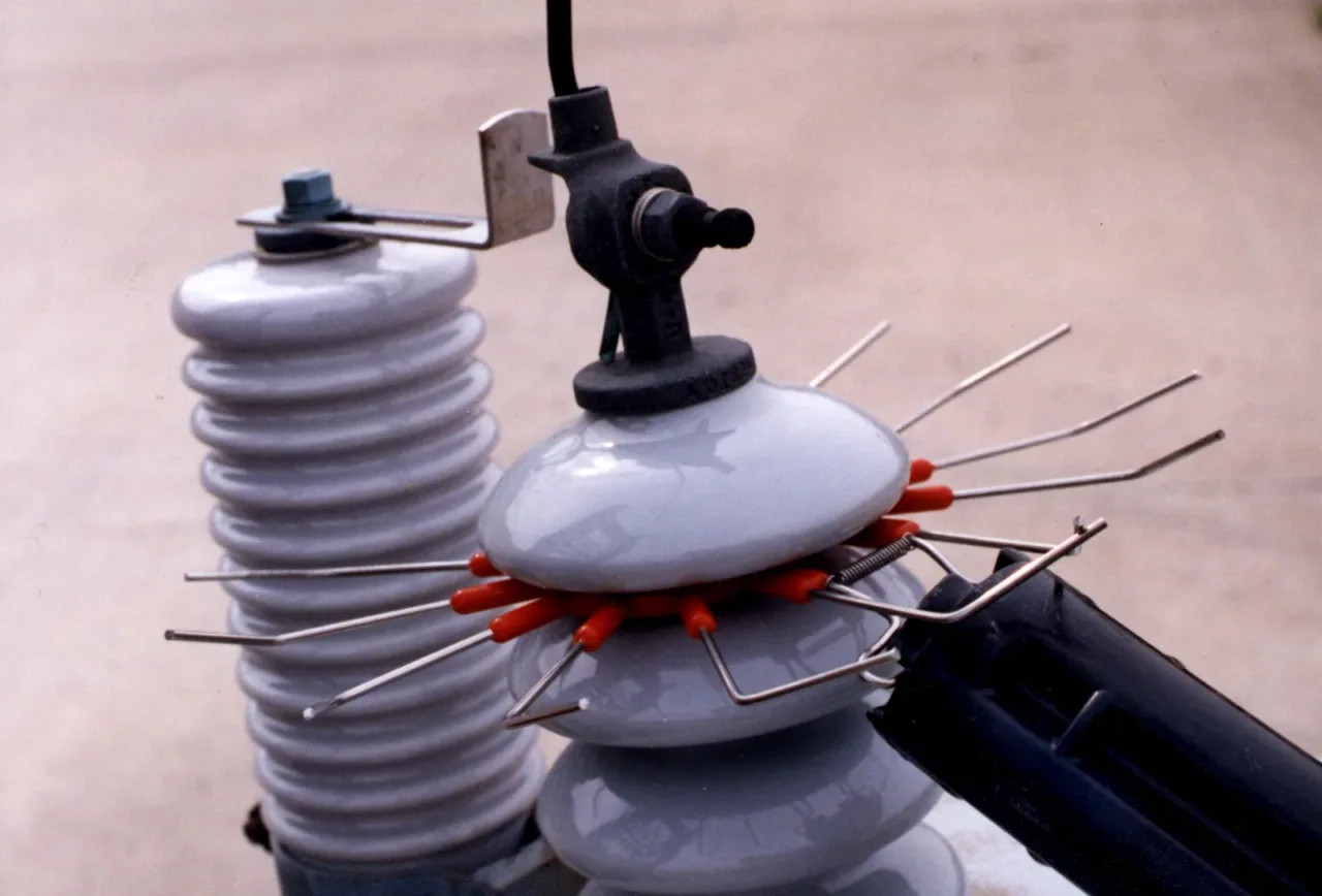 Bird-repellent spikes on electrical insulator equipment.