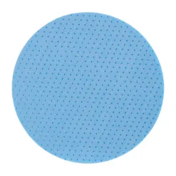 Round blue scrub pad with perforations.