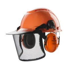 Safety helmet with face shield and ear protection