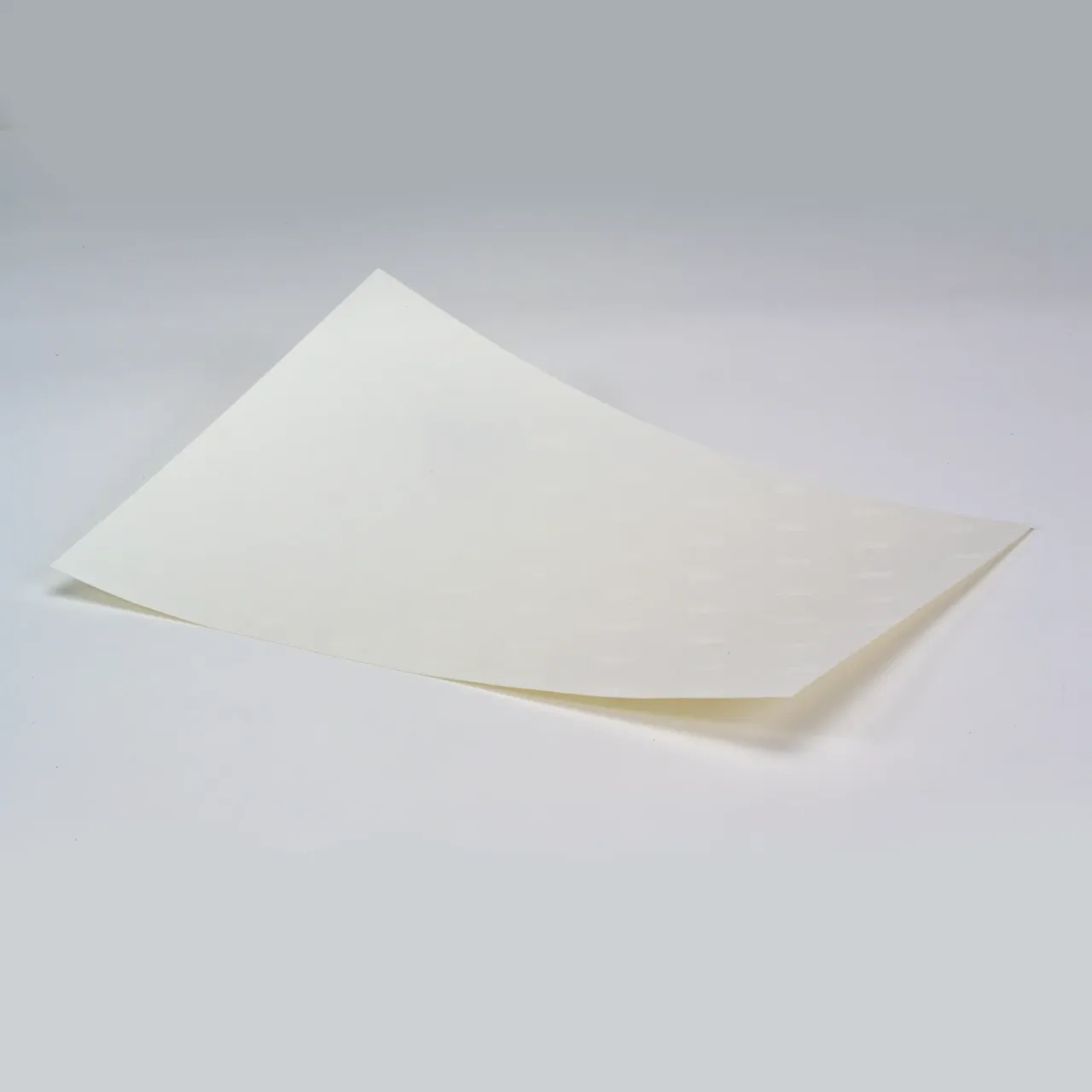 Blank sheet of paper on a white background