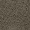 Close-up of textured brown carpet surface.