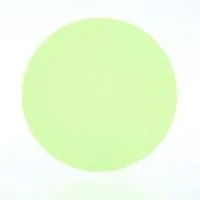 Pale green circle on white background.