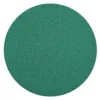 Green textured circular surface on white background.