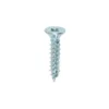 Twin-Threaded Countersunk Silver Woodscrews - 10 x 1