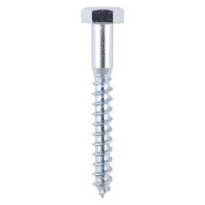 Coach Screws Hex Head Silver - 6.0 x 100