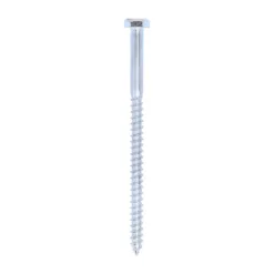 Coach Screws Hex Head Silver - 6.0 x 100