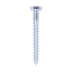 Coach Screws Hex Head Silver - 6.0 x 50