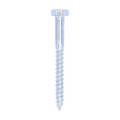 Coach Screws Hex Head Silver - 6.0 x 60