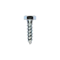 Coach Screws Hex Head Silver - 8.0 x 30