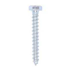 Coach Screws Hex Head Silver - 8.0 x 60