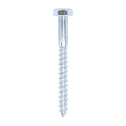 Coach Screws Hex Head Silver - 10.0 x 100