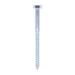 Coach Screws Hex Head Silver - 10.0 x 130