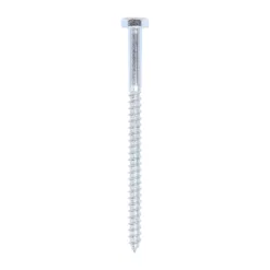Coach Screws Hex Head Silver - 10.0 x 160