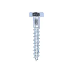 Coach Screws Hex Head Silver - 10.0 x 60
