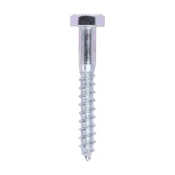 Coach Screws Hex Head Silver - 10.0 x 75