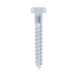 Coach Screws Hex Head Silver - 12.0 x 80
