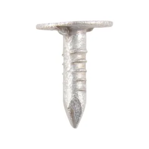 Extra Large Head Clout Nails Galvanised - 30 x 3.00