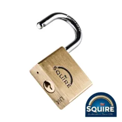 Premium Brass Lion Padlock - 40mm