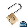 Premium Brass Lion Padlock - 2.5" Stainless Steel Shackle - 40mm