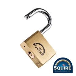 Premium Brass Lion Padlock - 50mm
